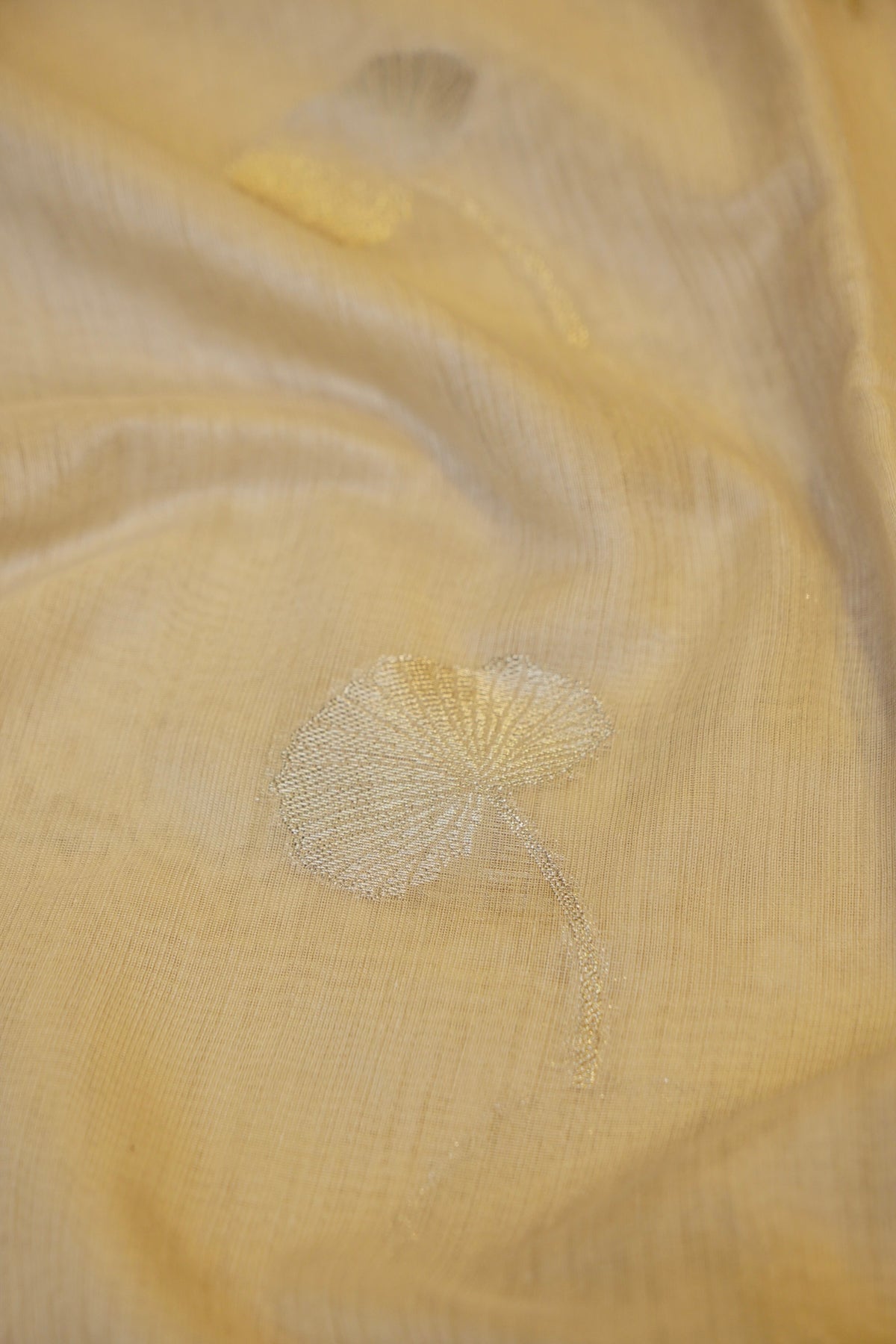 OFF WHITE MUGA TUSSAR SILK SAREE